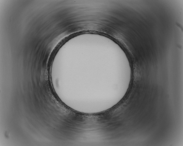 X0000103910924200809191258