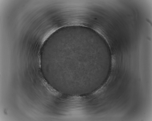 X0000103910925200809191258