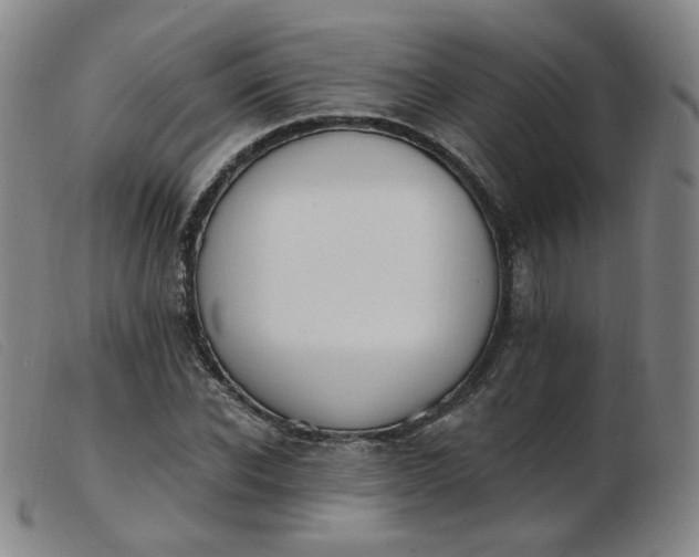 X0000103910926200809191258