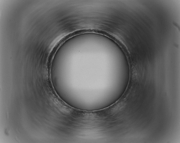 X0000103910927200809191259