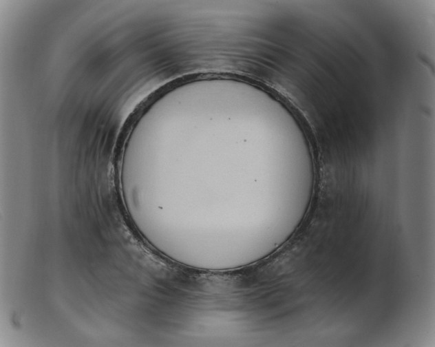 X0000103910928200809191259