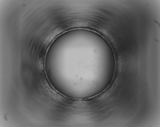 X0000103910929200809191259