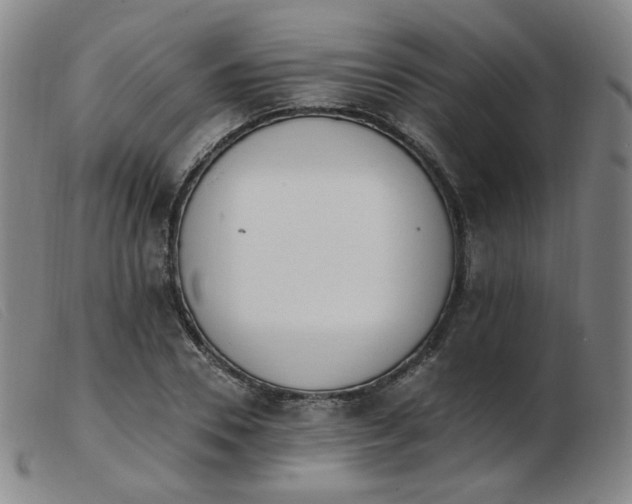 X0000103910930200809191259