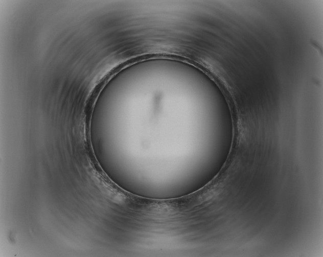 X0000103910931200809191259