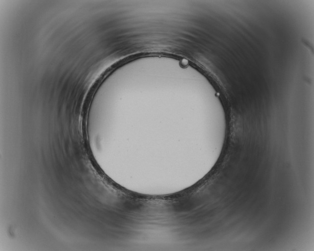 X0000103910932200809191259