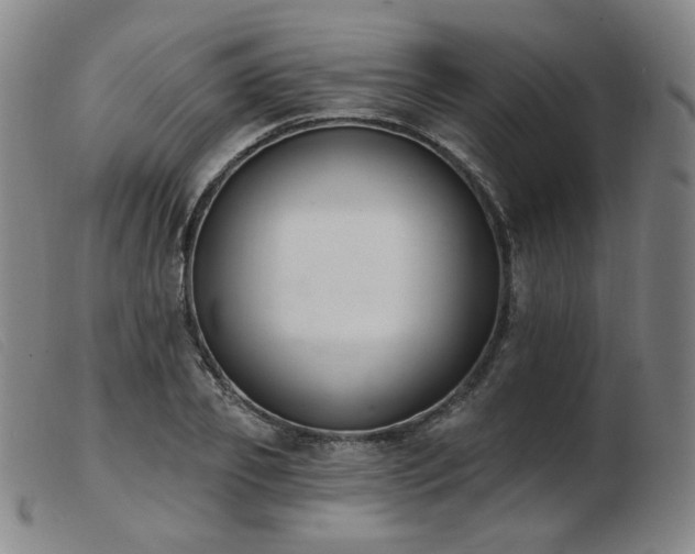 X0000103910933200809191259