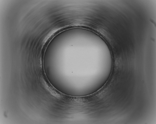 X0000103910934200809191259
