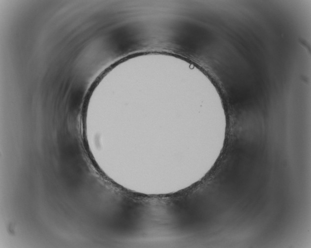 X0000103910936200809191259