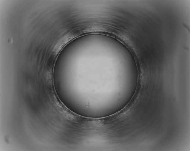 X0000103910937200809191259