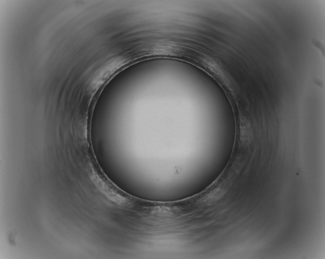 X0000103910938200809191259