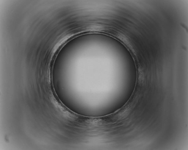 X0000103910939200809191259