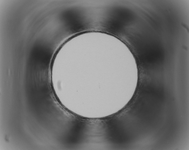 X0000103910940200809191259