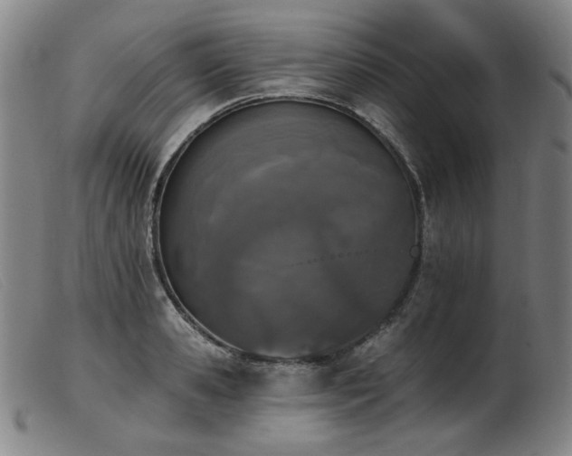 X0000103910941200809191259