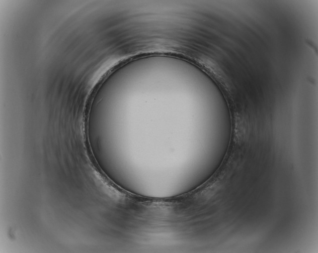 X0000103910942200809191259