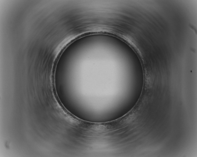 X0000103910943200809191259