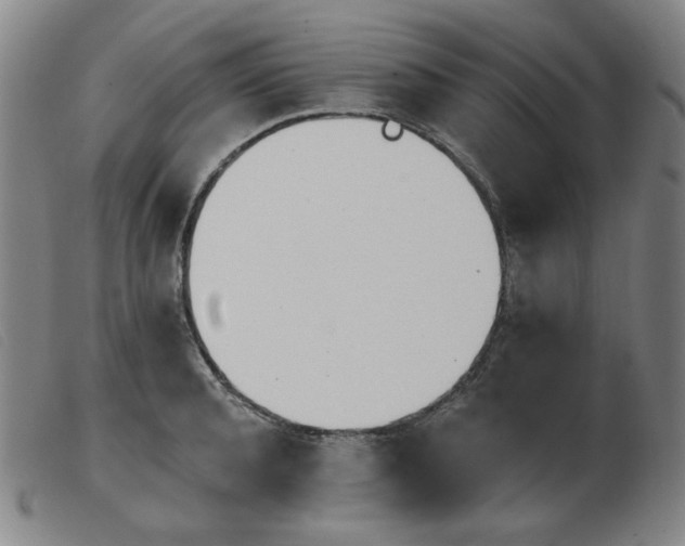 X0000103910944200809191259