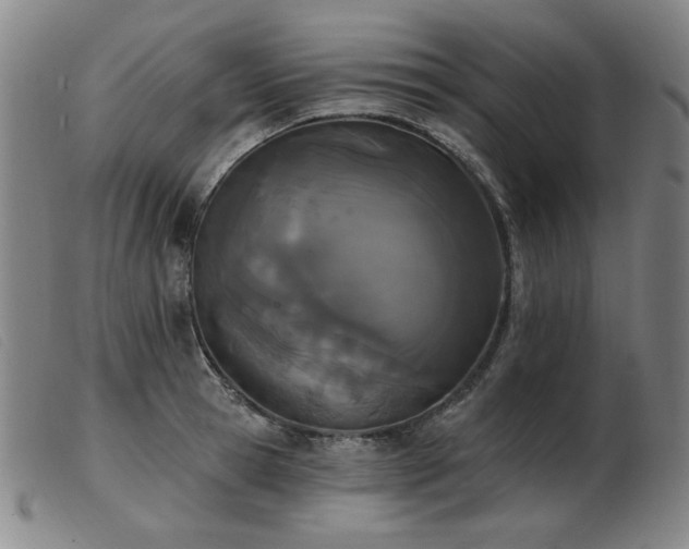 X0000103910945200809191259