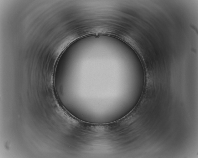 X0000103910946200809191259