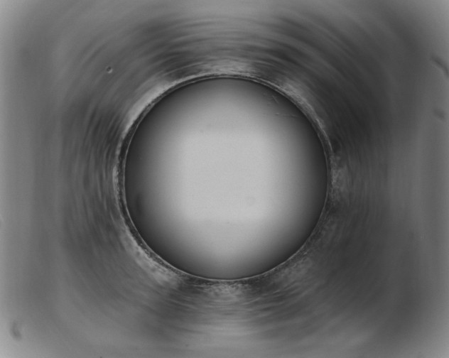 X0000103910947200809191259