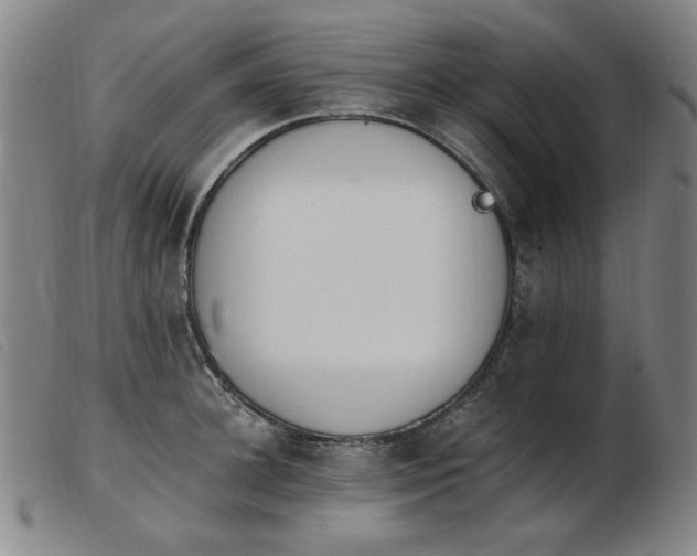 X0000103910948200809191259