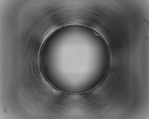 X0000103910949200809191259