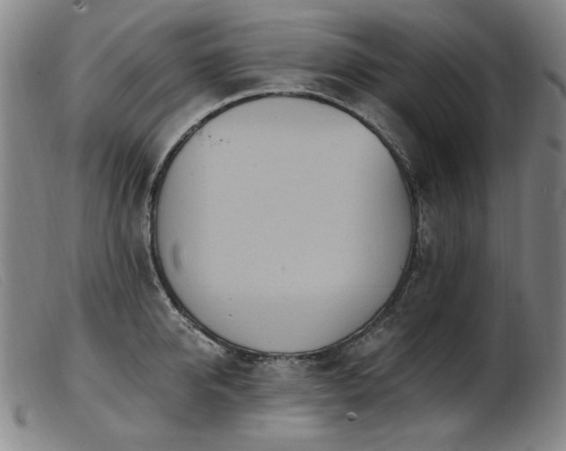 X0000103910950200809191259