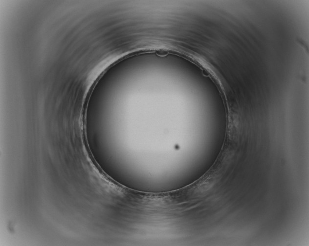 X0000103910951200809191259