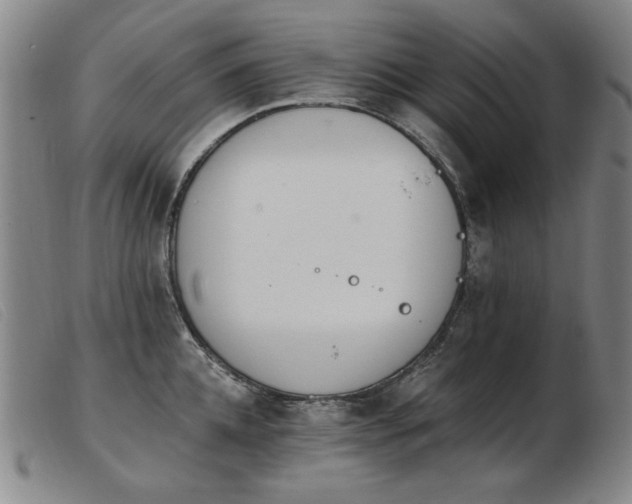 X0000103910952200809191259