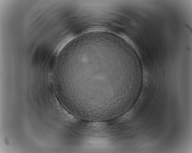 X0000103910953200809191259