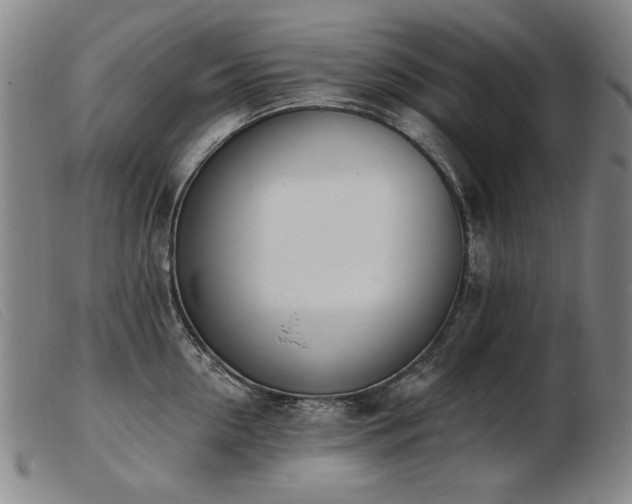 X0000103910954200809191259
