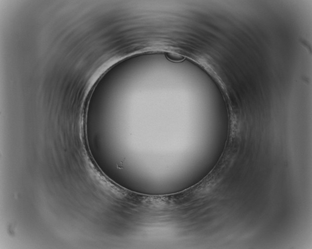 X0000103910955200809191259