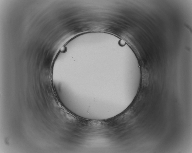 X0000103910956200809191259