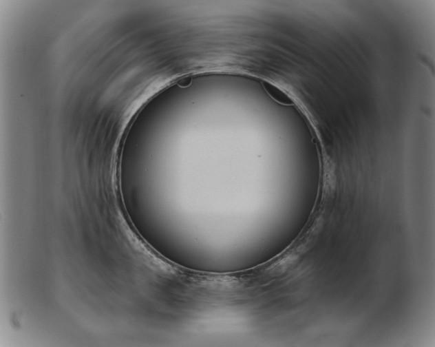 X0000103910957200809191259