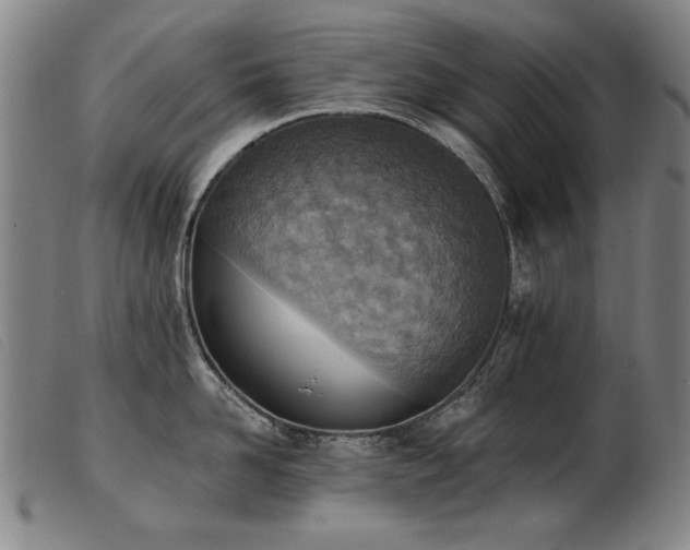 X0000103910958200809191259