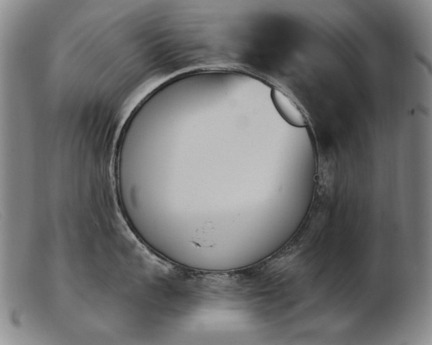 X0000103910959200809191259