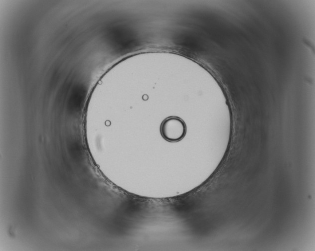 X0000103910960200809191259