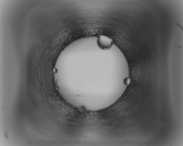 X0000103910961200809191258