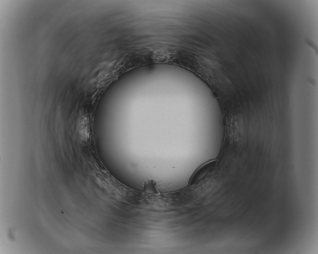 X0000103910962200809191258