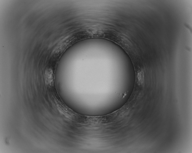 X0000103910963200809191258