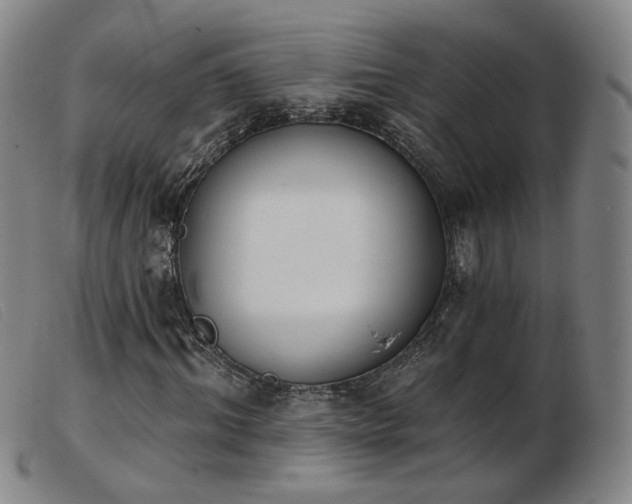 X0000103910964200809191258