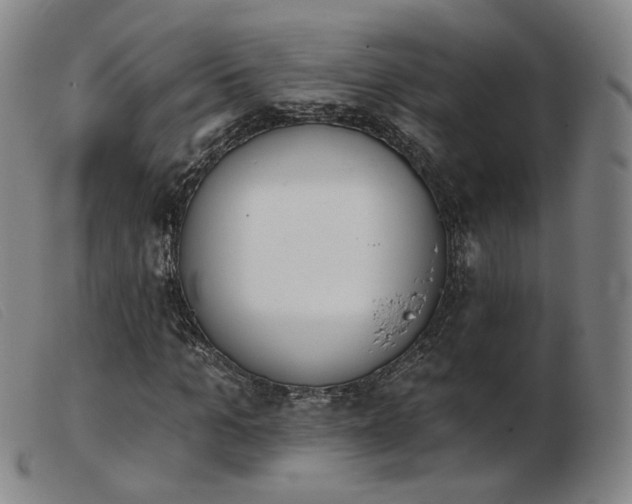 X0000103910965200809191258