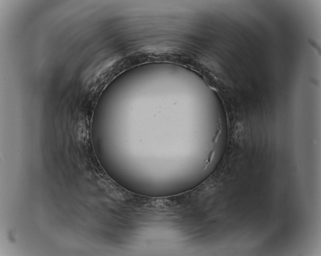 X0000103910966200809191258