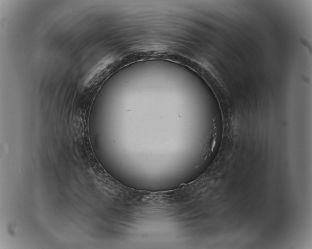 X0000103910967200809191258