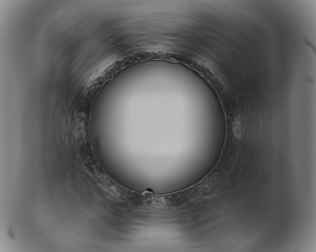 X0000103910968200809191258