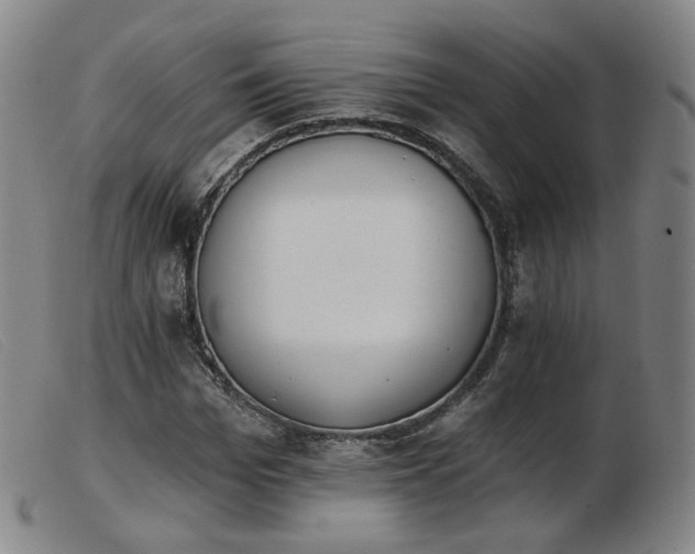 X0000103910969200809191258
