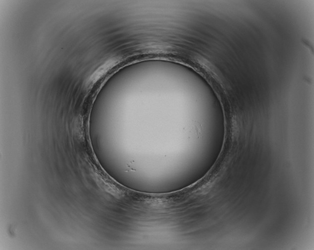 X0000103910970200809191258