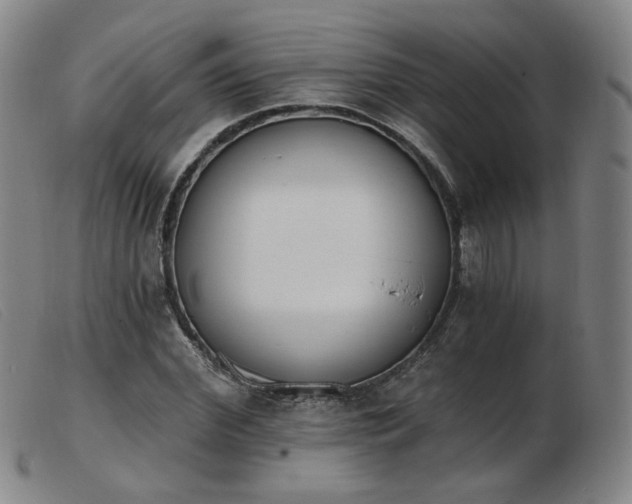 X0000103910972200809191258