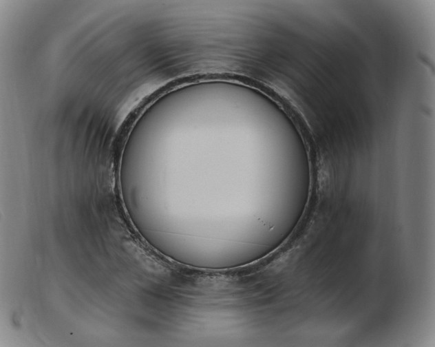 X0000103910973200809191258