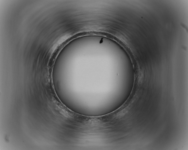 X0000103910974200809191258