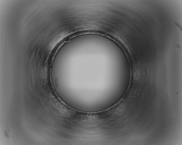 X0000103910975200809191258